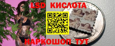 PSILOCYBIN Северобайкальск