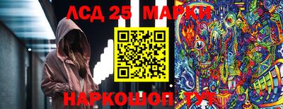 PSILOCYBIN Северобайкальск
