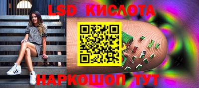 PSILOCYBIN Северобайкальск