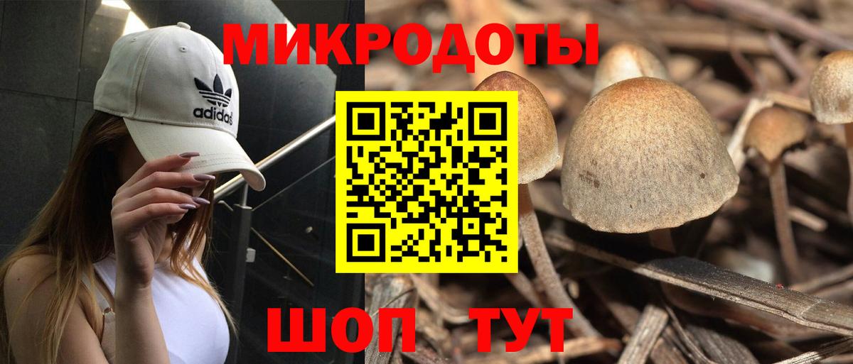 Галлюциногенные грибы ЛСД Анжеро-Судженск
