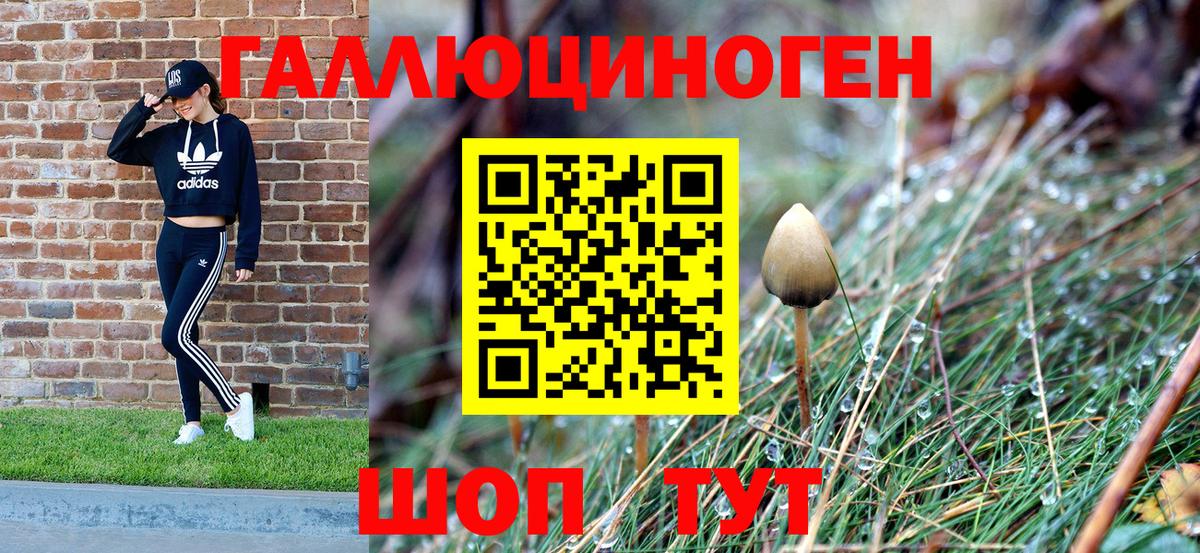 Анжеро-Судженск  Галлюциногенные грибы Magic Shrooms  что такое   Вход с VPN  Галлюциногенные грибы мицелий 